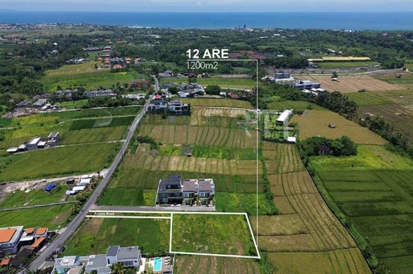 STUNNING FREEHOLD LAND WITH PANORAMIC RICE FIELD VIEWS - PPL2939