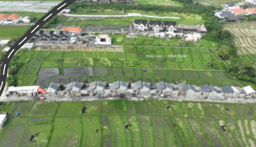 FREEHOLD LAND FOR SALE IN SESEH – PRIME INVESTMENT OPPORTUNITY