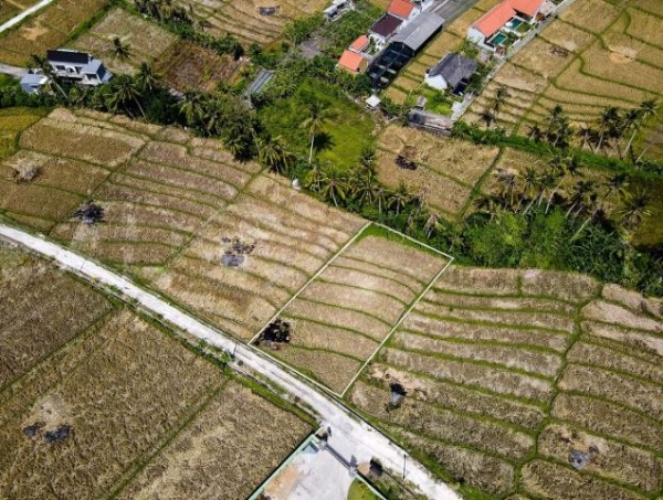 1400m2 Land For Sale With Ricefield View in Seseh