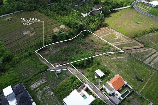 FREEHOLD LAND WITH AMAZING RICEFIELD VIEW IN KEDUNGU