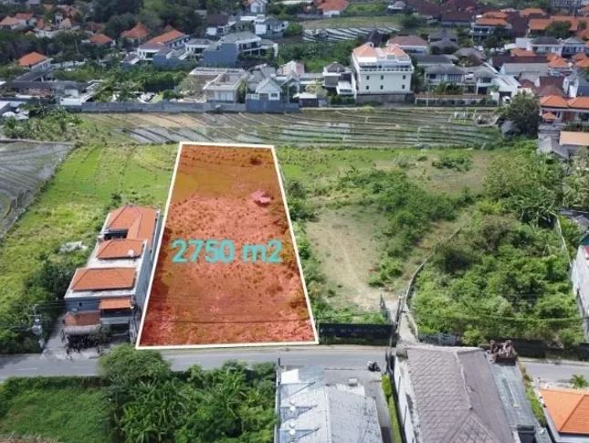 27,5 Are Land for Sale in Batu Mejan, Canggu